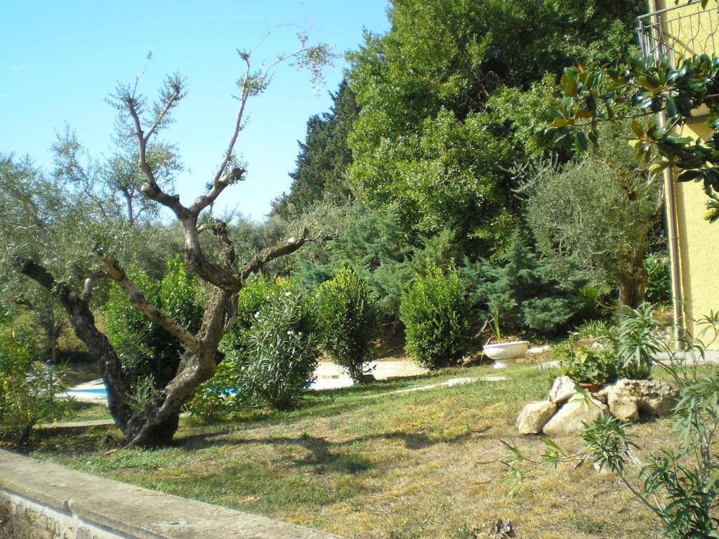 Villa Olcimia Capena Exteriér fotografie